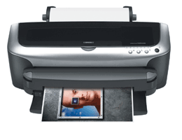 Epson XP 2200 Series Printed Manual