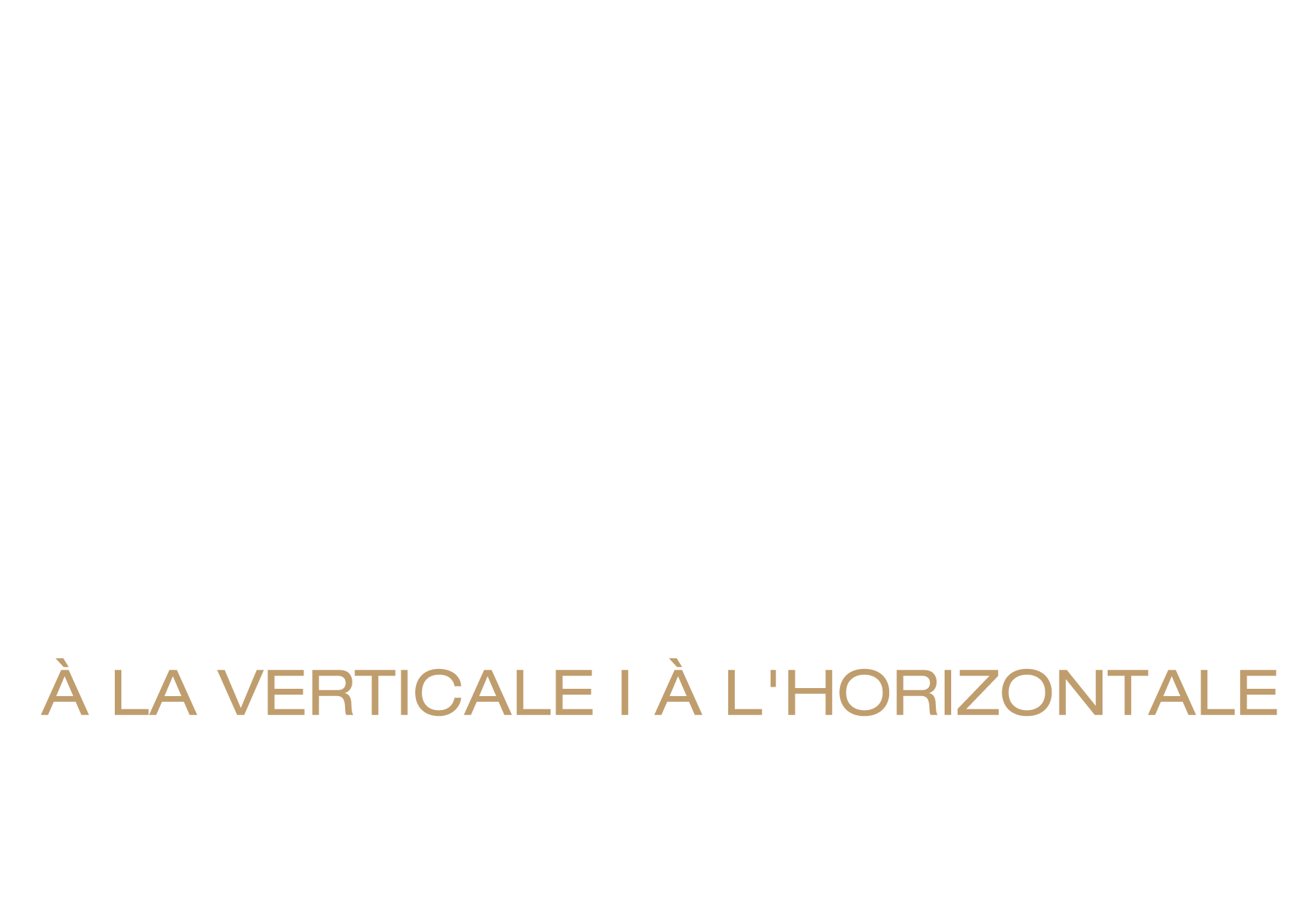 Plage de décalage de l’objectif pouvant atteindre : 96 % à la verticale; 47 % à l’horizontale