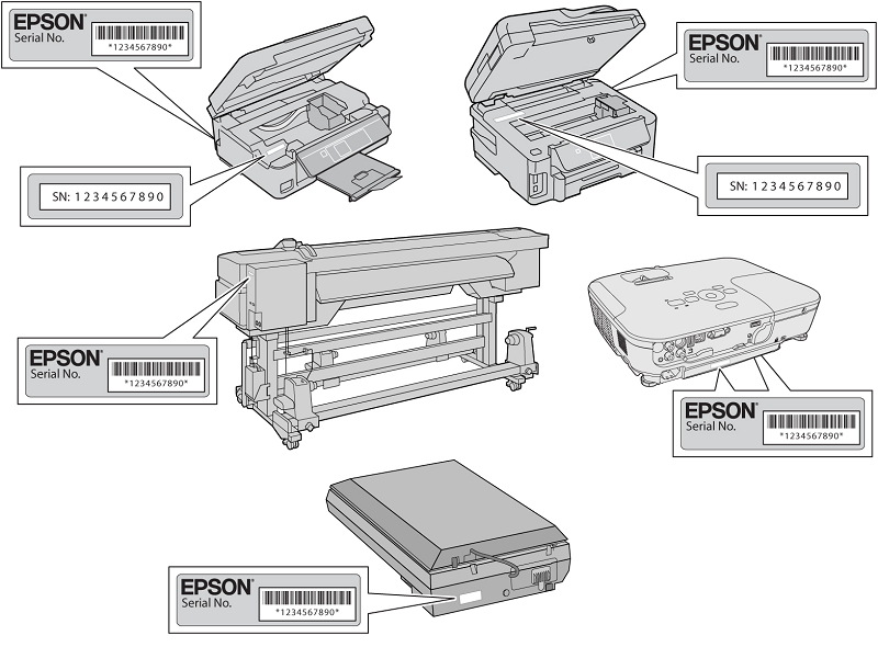 Epson product serial number locations