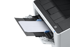 Epson WorkForce AL-M310DN