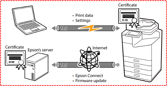 SSL / TLS