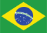 Brazil flag