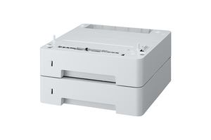 Epson WorkForce AL-M310DN