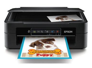 Epson XP-241