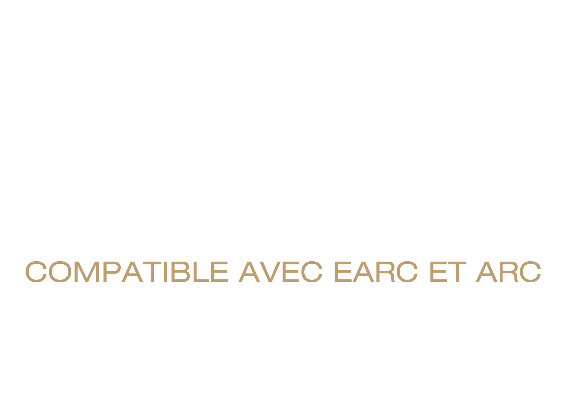 Connectivité à double port HDMI 2.1 compatible avec earc et ARC