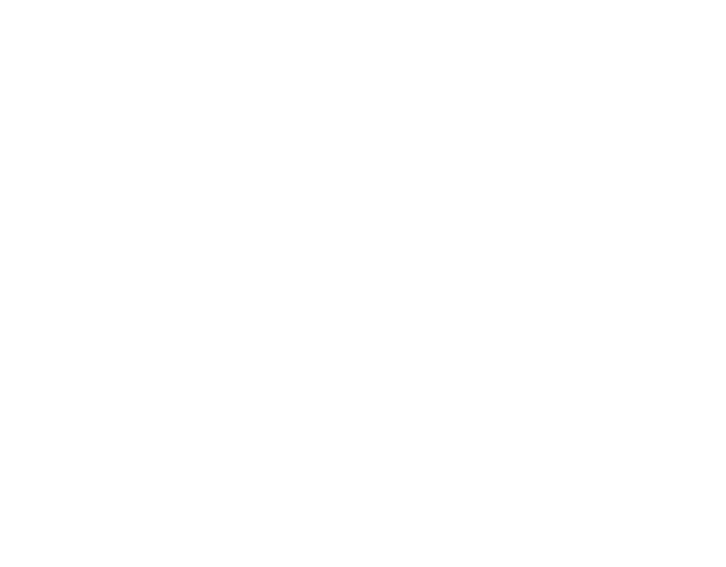 High Ink Capacity