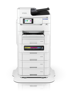 Epson WorkForce Pro EM-C8101