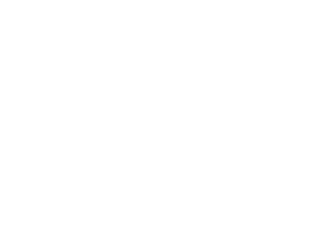 Fast Print Speeds