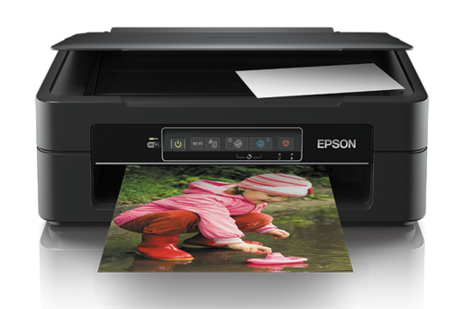 SPT C11CF32504 Epson XP 245 XP Epson Taiwan
