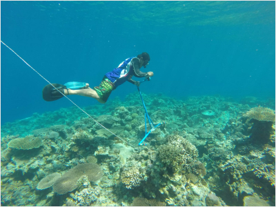 Restoring coral reefs native to Singapore