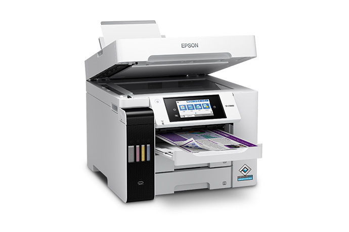Amazon.com: EPSON 802 DURABrite Ultra Ink High Capacity