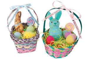 LabelWorks LW-300 Carrying Case