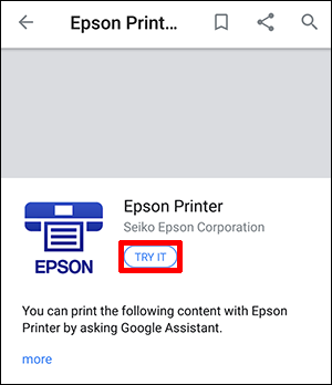 Epson printer window with try it button seleted