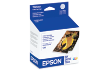 Epson T029 Color Ink