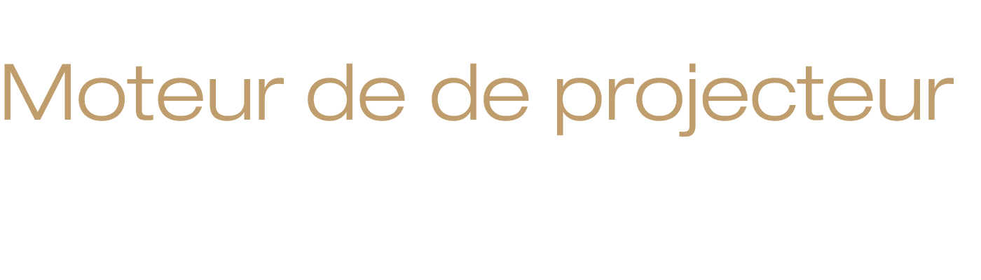 Moteur de de projecteur 3LCD à trois puces 