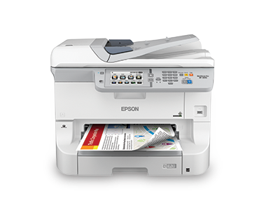 Epson partner