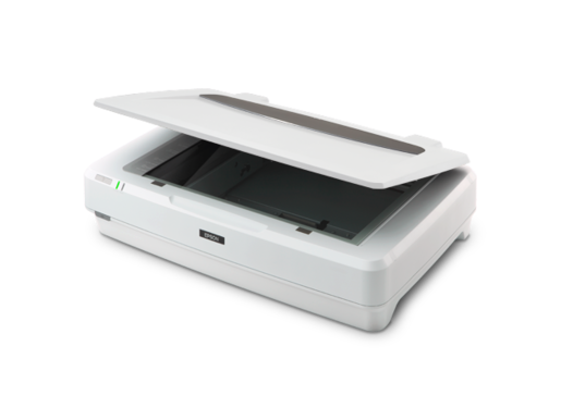 Epson Expression 13000XL
