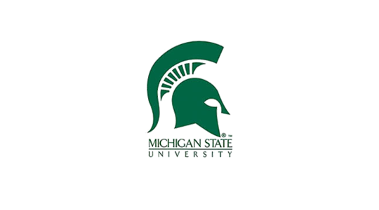 MSU Hockey