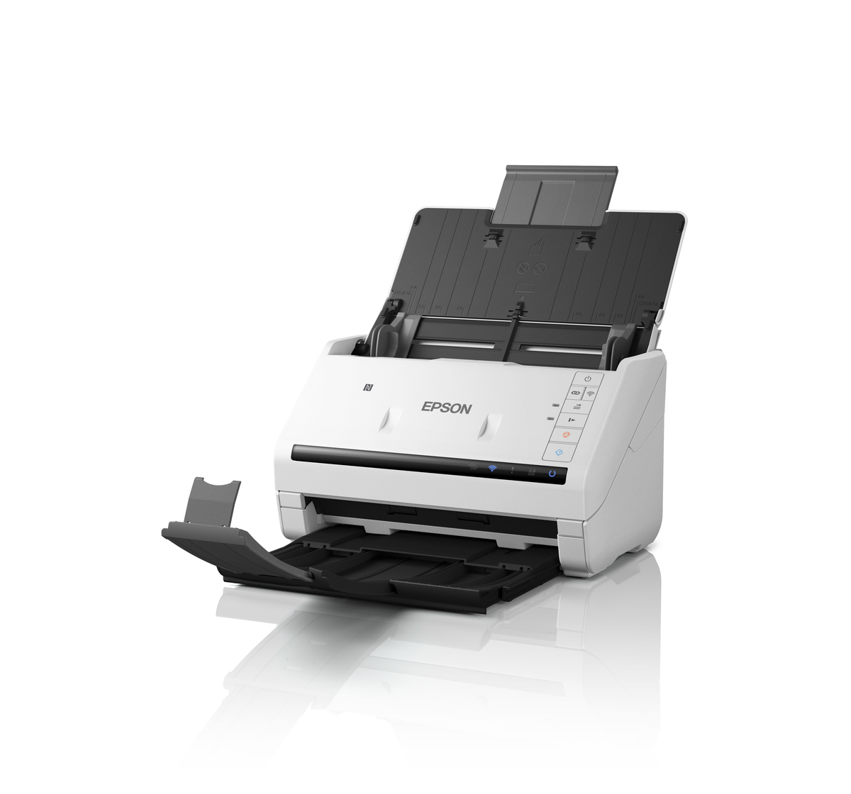 B11B228503 | Epson WorkForce DS-570W A4 Wi-Fi Duplex Sheet-fed Document  Scanner | A4 Document Scanners | Scanners | Epson Myanmar