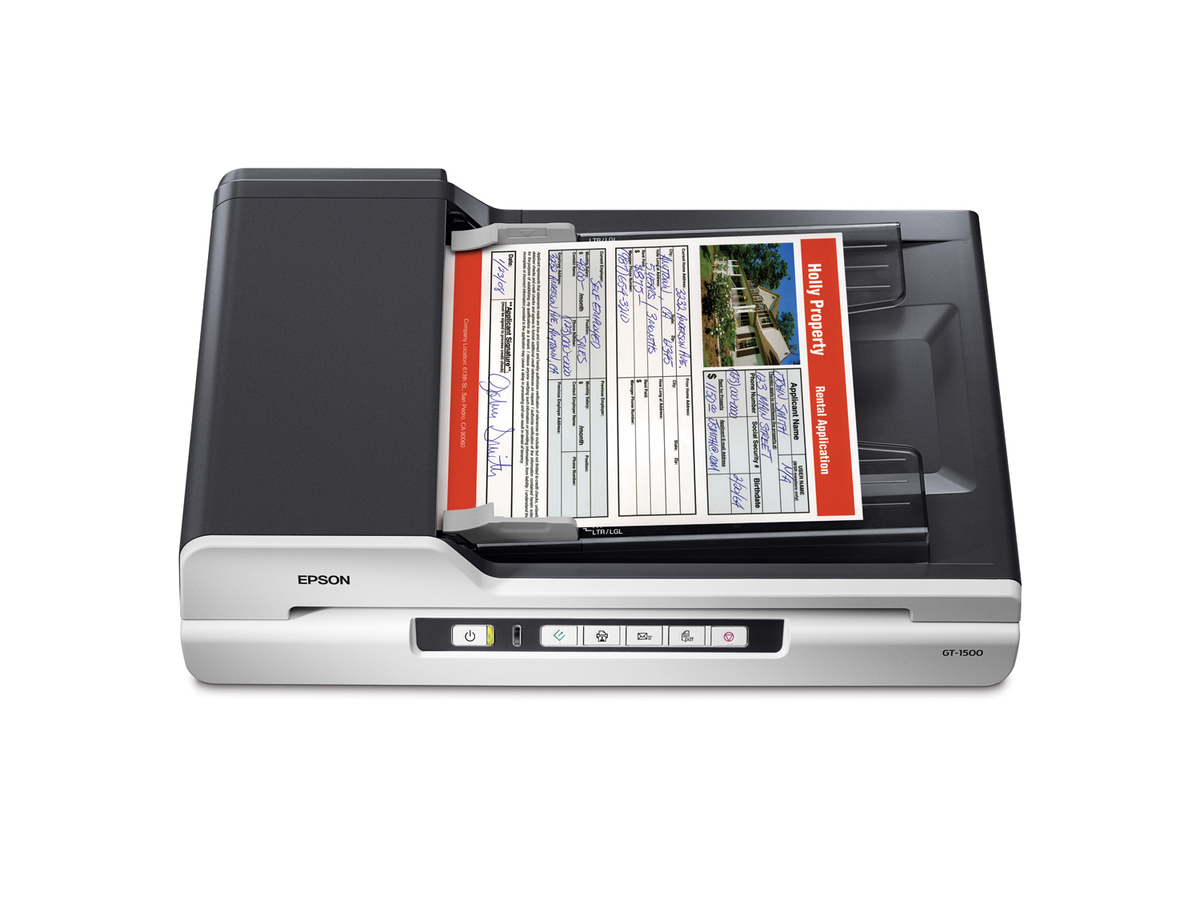 Scanner Epson GT 1500 - Scanner à plat - CCD - Legal - 1200 dpi x 2400 dpi  - Chargeur automatique de documents (40 feuilles) - USB 2.0